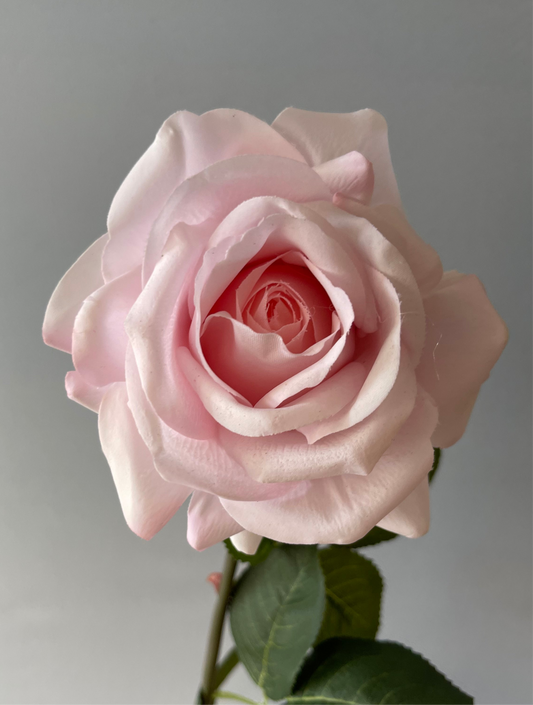 Real Touch Light Pink Hannah Rose Artificial Flowers Faux Flowers