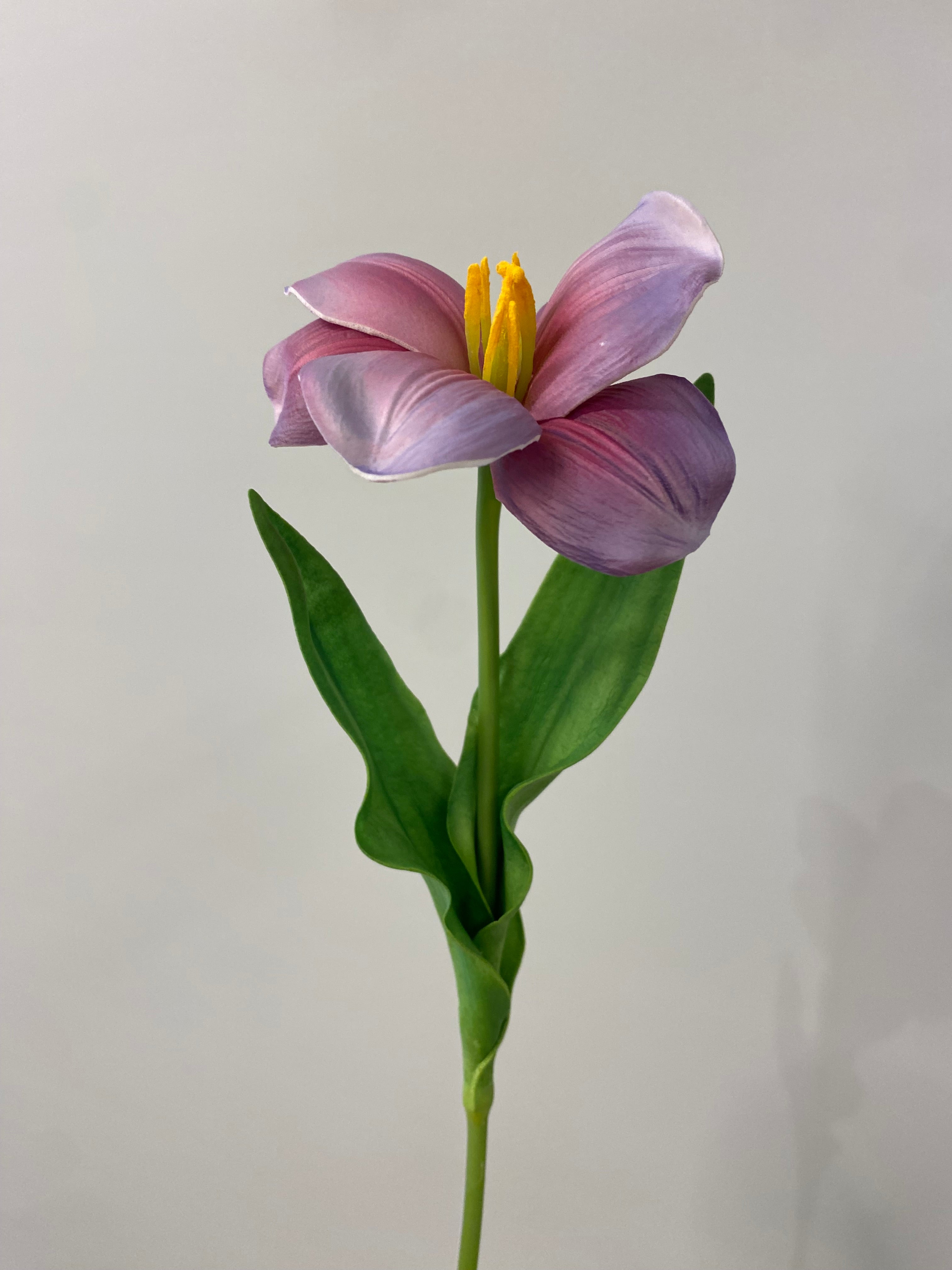 Real Tuli Real Touch Dark Purple Open Tulip Single Stem Artificial Flowers ...
