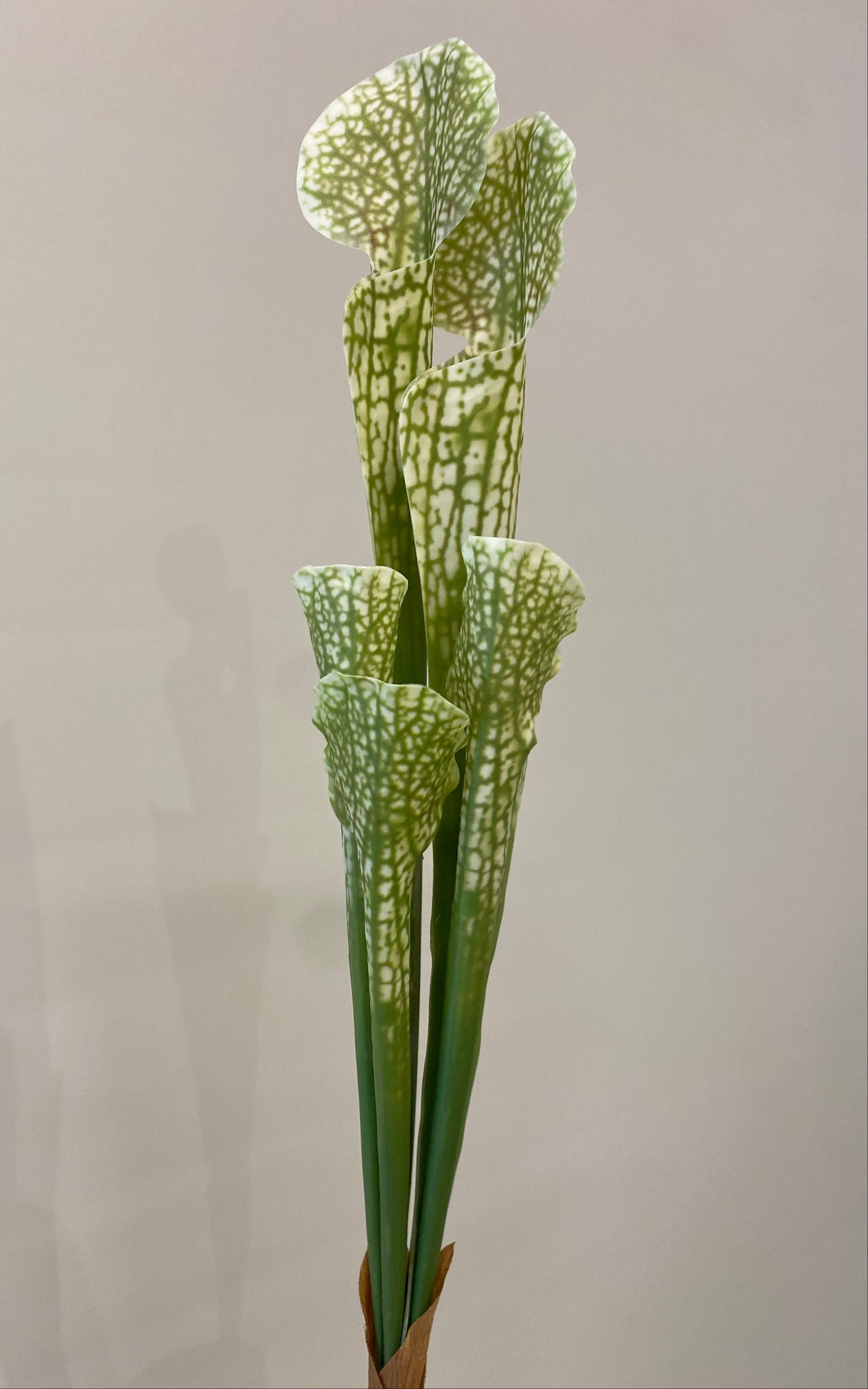 Monkey Cup Single Stem Artificial Flowers Faux Flowers