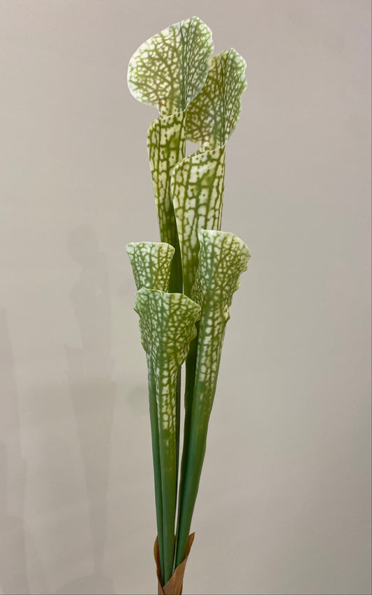 Monkey Cup Single Stem Artificial Flowers Faux Flowers