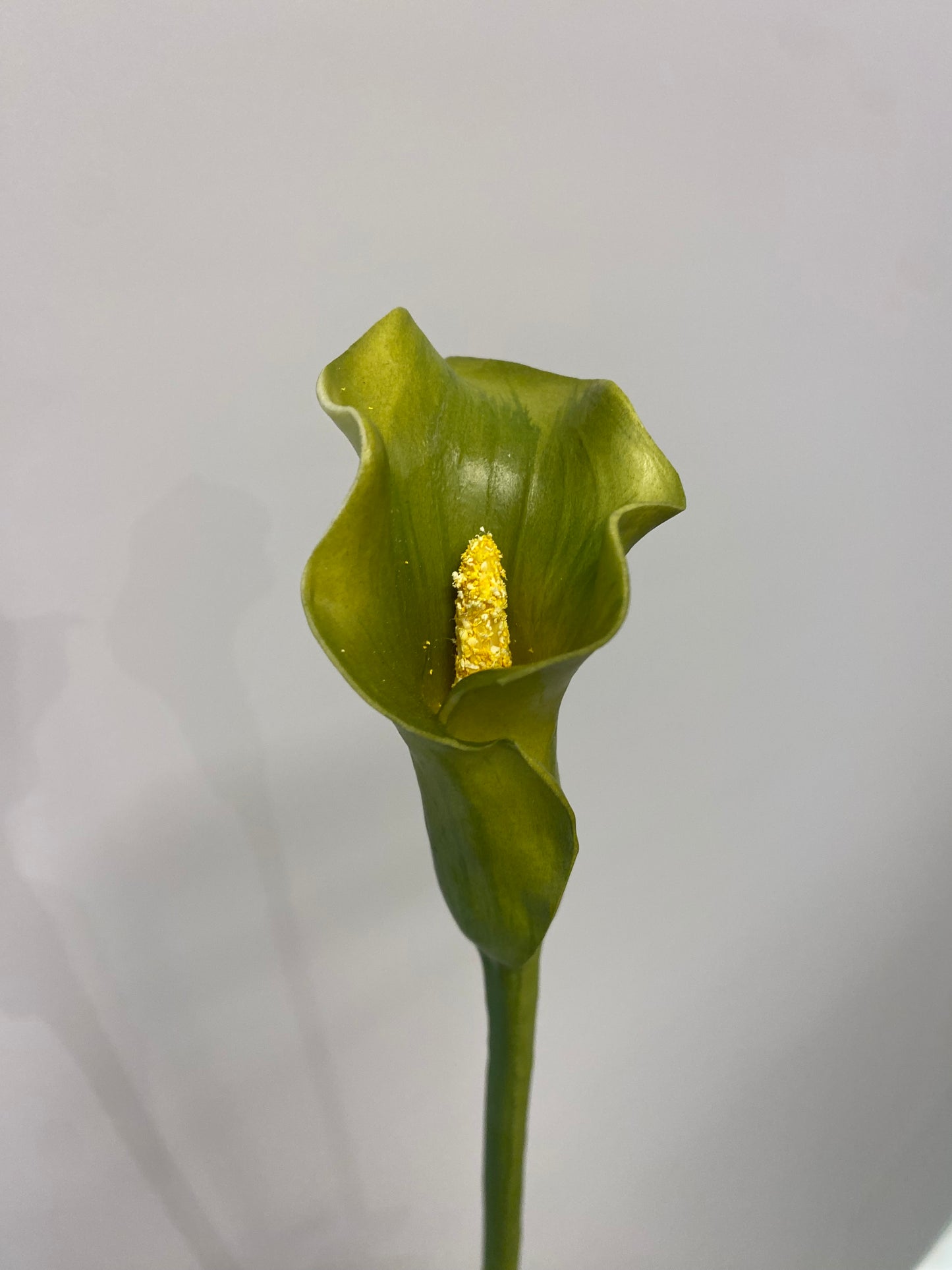 Real Touch Green Calla Lily Single Stem Artificial  Flowers