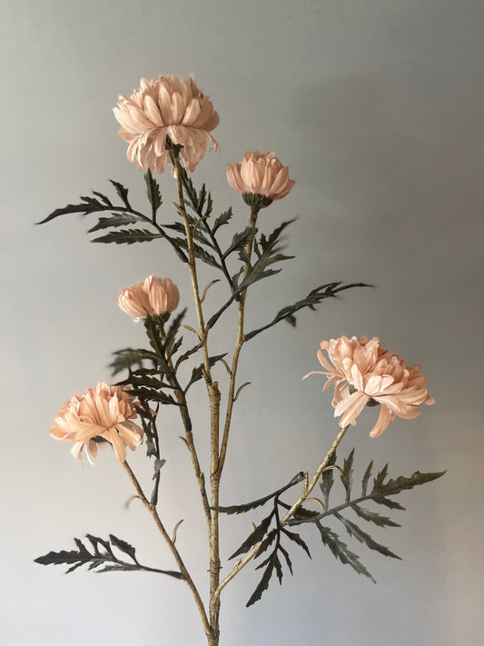 Dusty Pink Celeste Chrysanthemum Spray