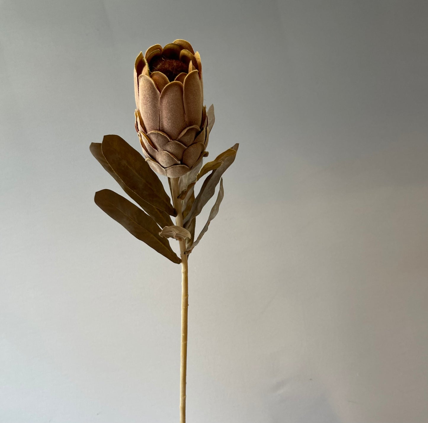 Brown Protea Single Stem Artificial Flowers Faux Flowers