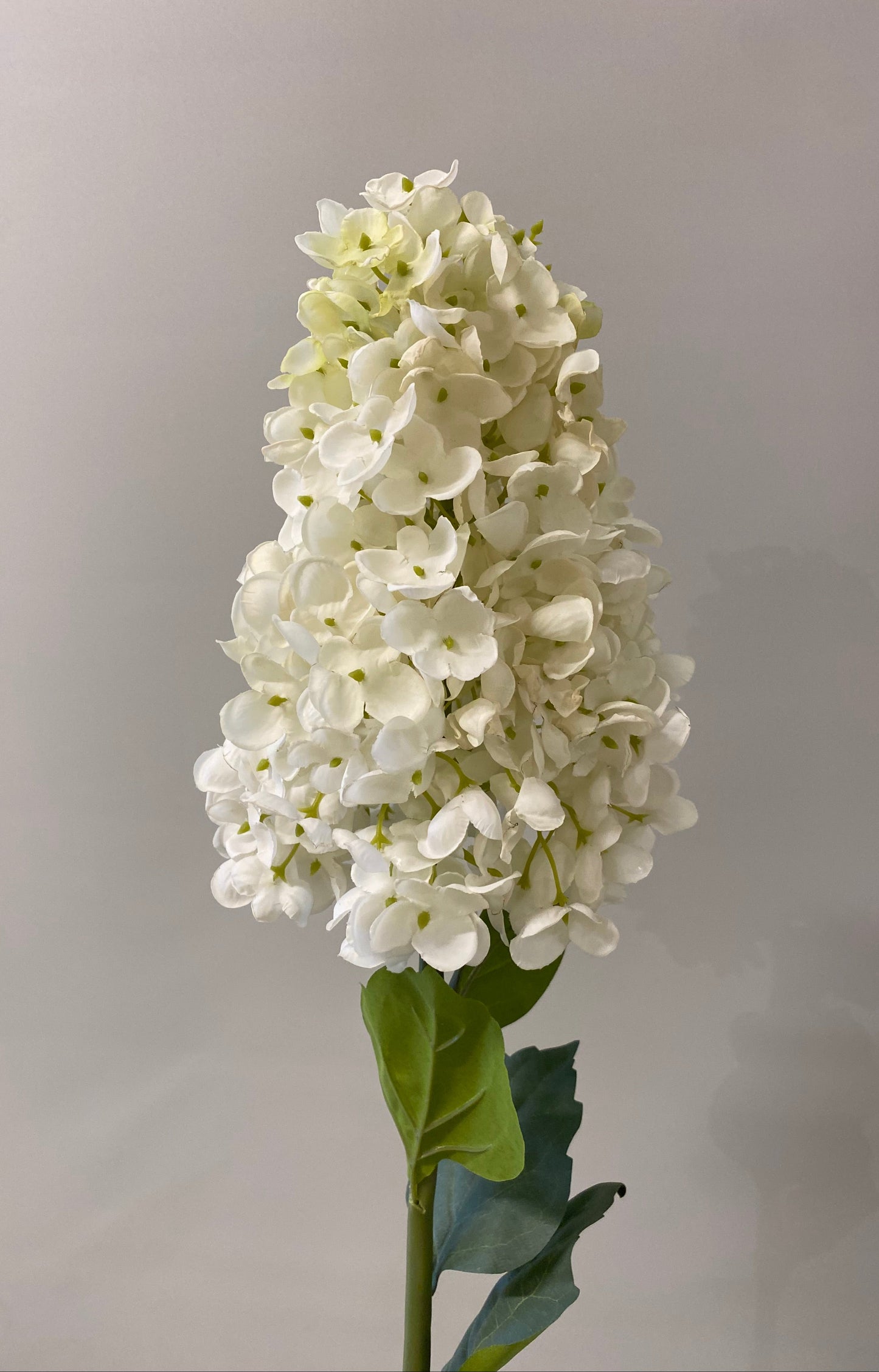 White And Green Paniculata Hydrangea Cone  Single Stem Artificial Faux Flowers
