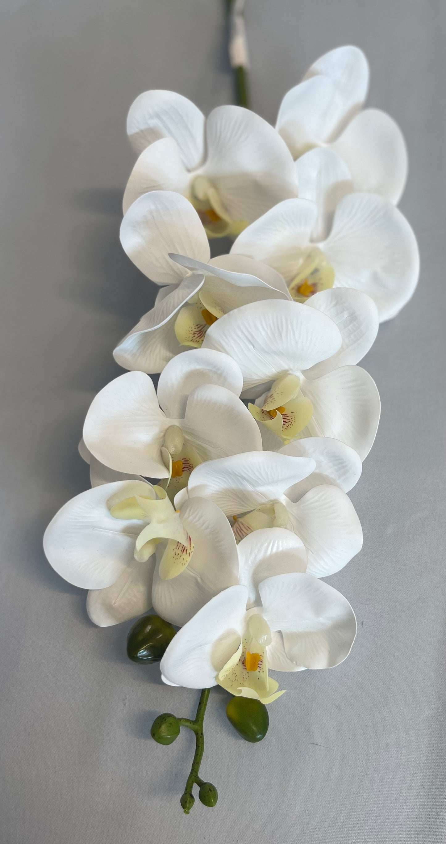 Real Touch White Orchid Single Stem