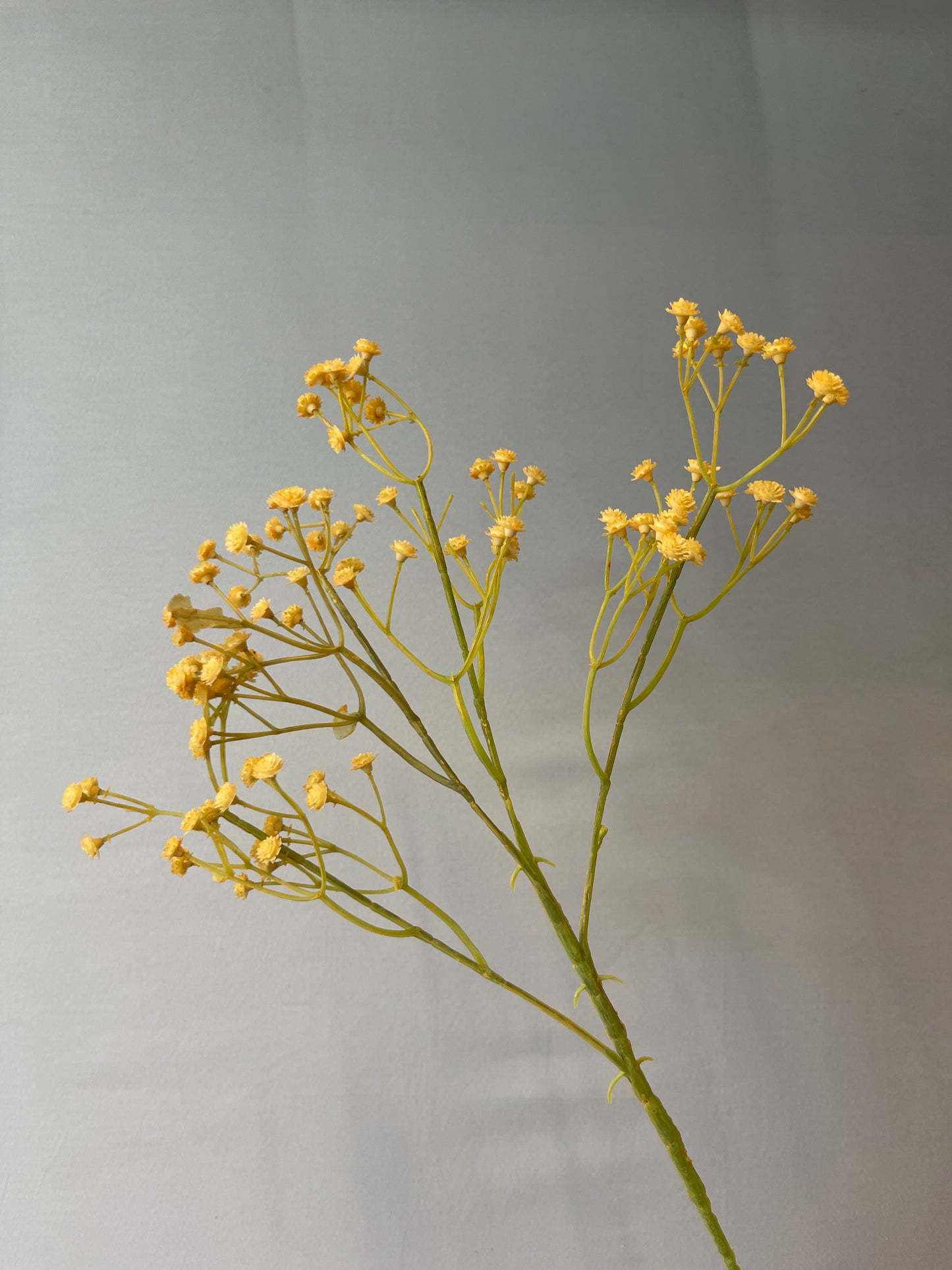 Yellow Honey Baby’s Breath Single Stem Artificial Flower Faux Flower