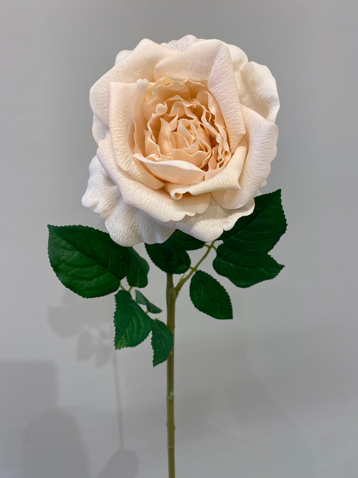 Soft Pink Real Touch Astrid Rose Single Stem