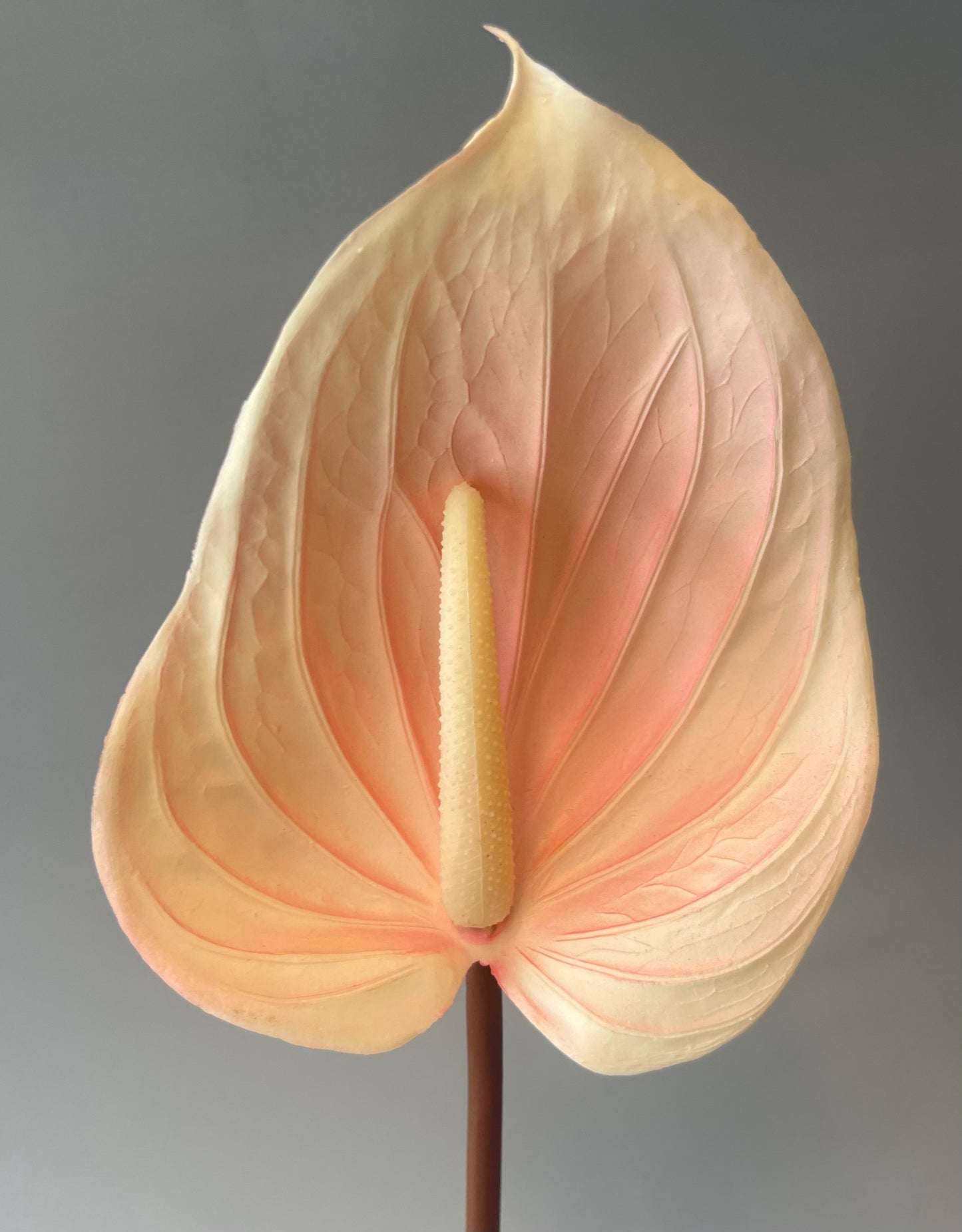 Soft Pink Anthurium Single Stem  Artificial Flowers Faux Flowers