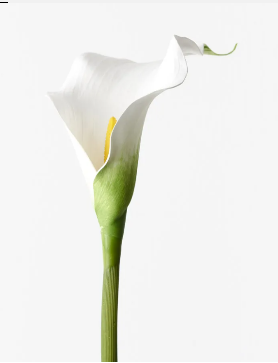 Real Touch White Calla Lily Single Stem Artificial Faux Flowers