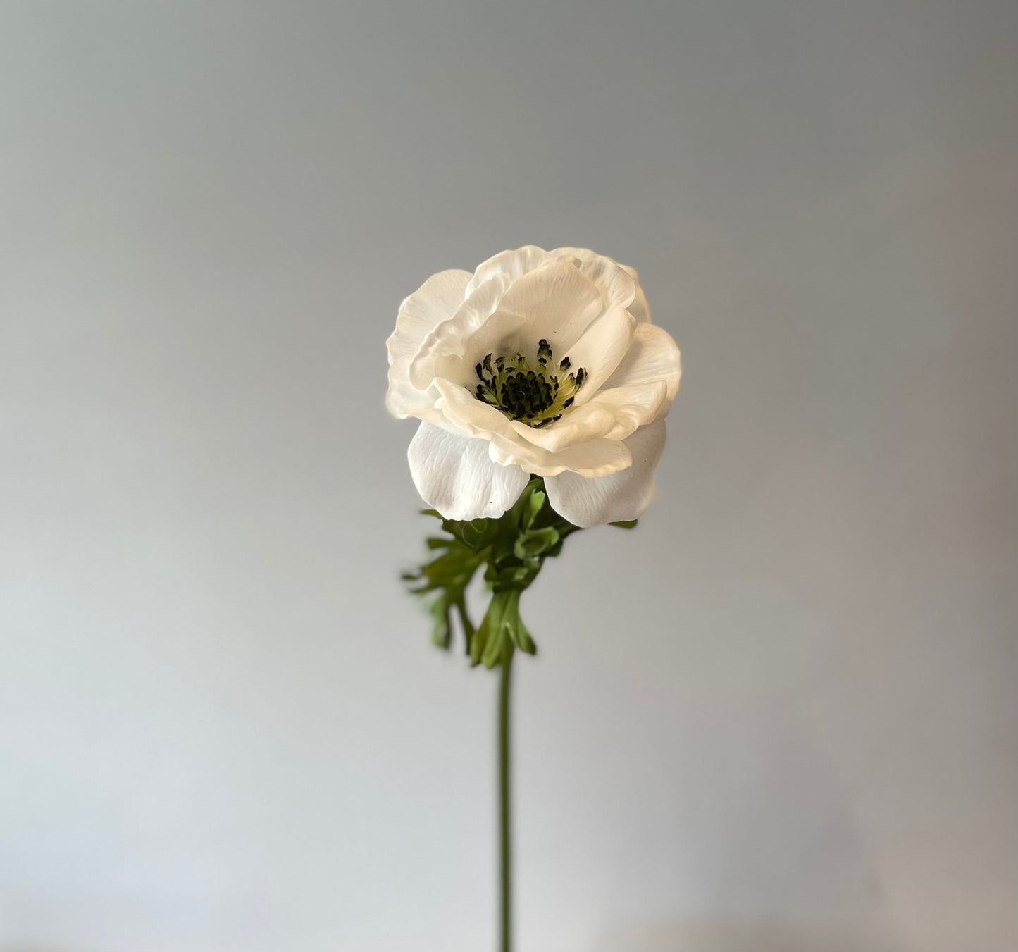 Real Touch Winter White Anemone Artificial Flowers Faux Flowers