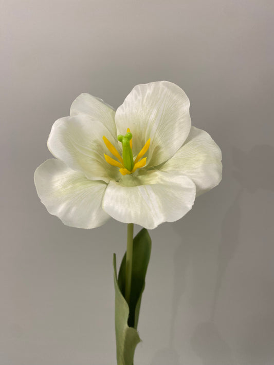 Iris White And Green Silk Single Stem Artificial Flowers