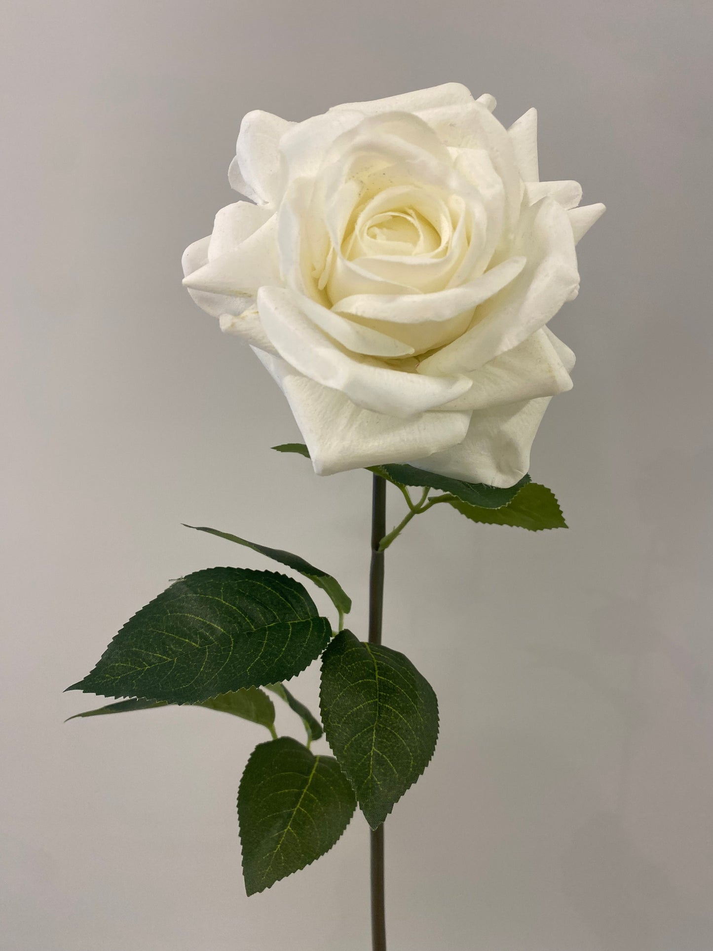 Real Touch White Hannah Rose FI Single Stem