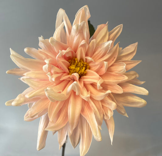 Real Touch Pink Dahlia Single Stem