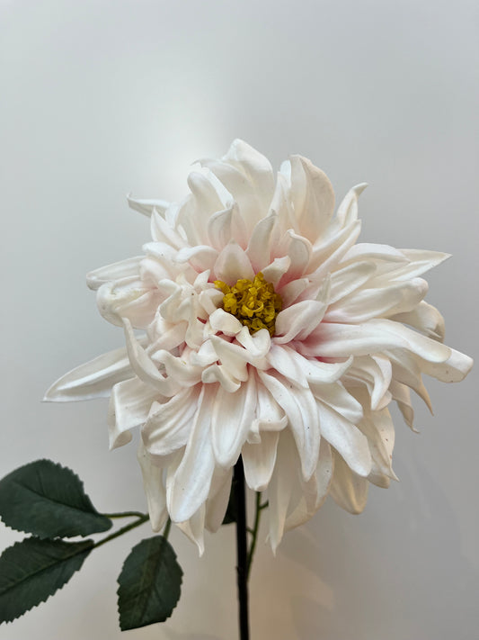 Real Touch White & Pink Dahlia