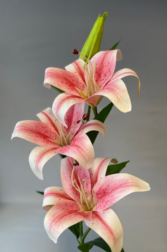 Light Pink Lily Spray Single Stem Artificial Flowers Faux Flowers