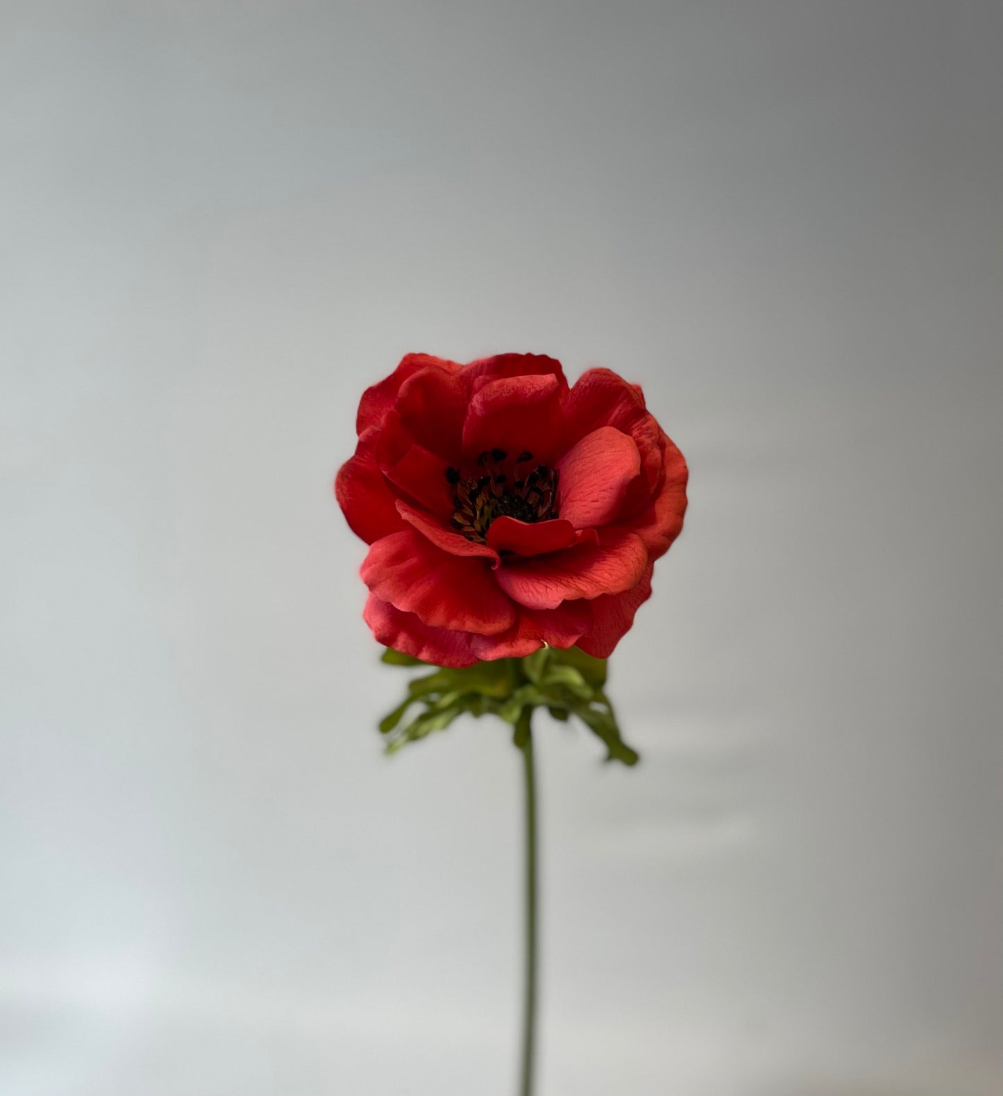 Real Touch Red Rose Anemone Single Stem Artificial Flowers Faux Flowers