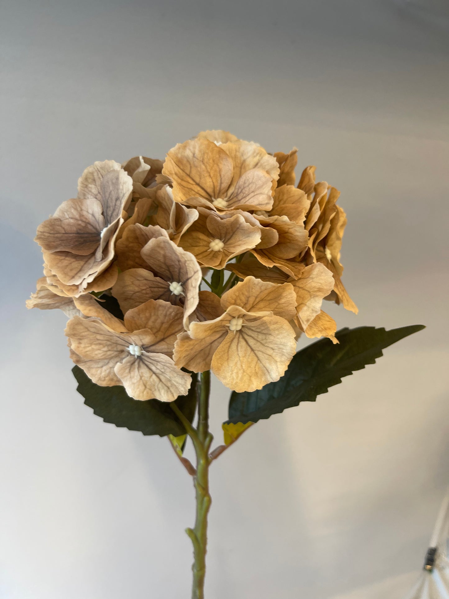 Coffee Silk Hydrangea Single Stem Artificial Flowers Faux Flowers