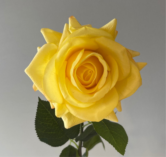 Real Touch Yellow Hannah Rose Single Stem Artificial Flowers Faux Flowers
