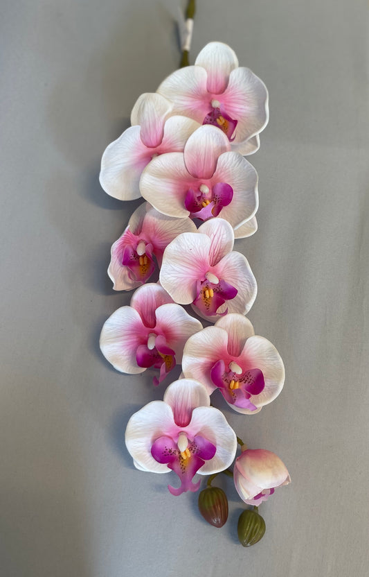 Real Touch White and Pink Orchid Single Stem Artificial Flowers Faux Flowers