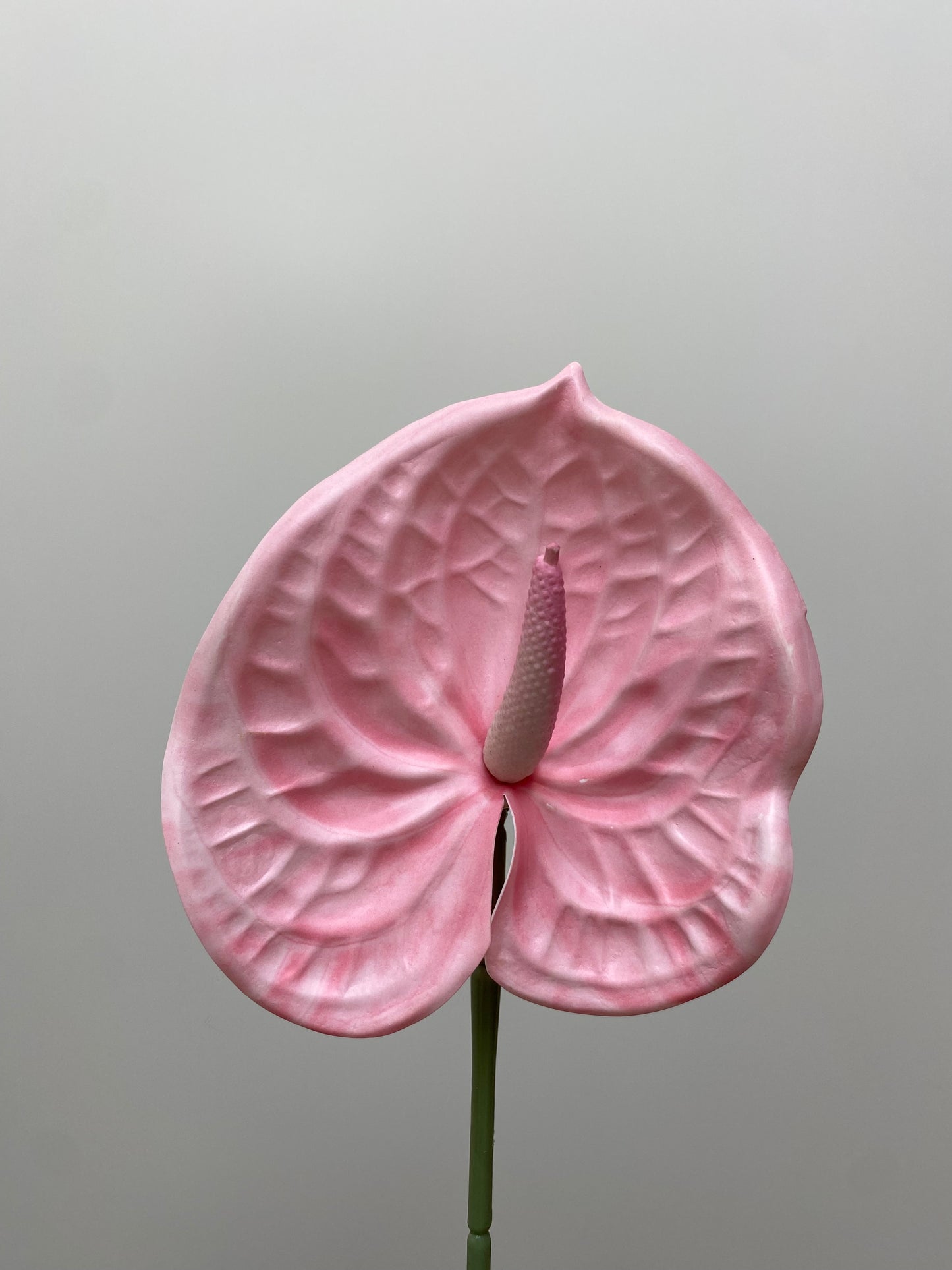 Blush Anthurium Single Stem Artificial Flowers Small