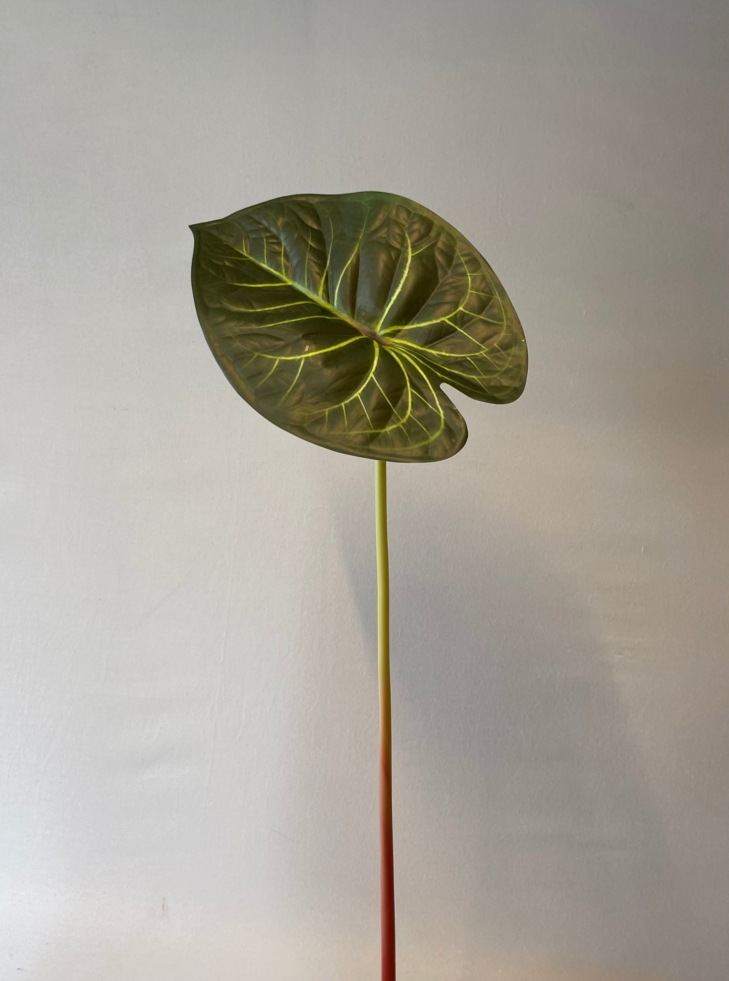 Green Anthurium Clarinerium Leaf Single Stem Artificial Flowers Faux Flowers