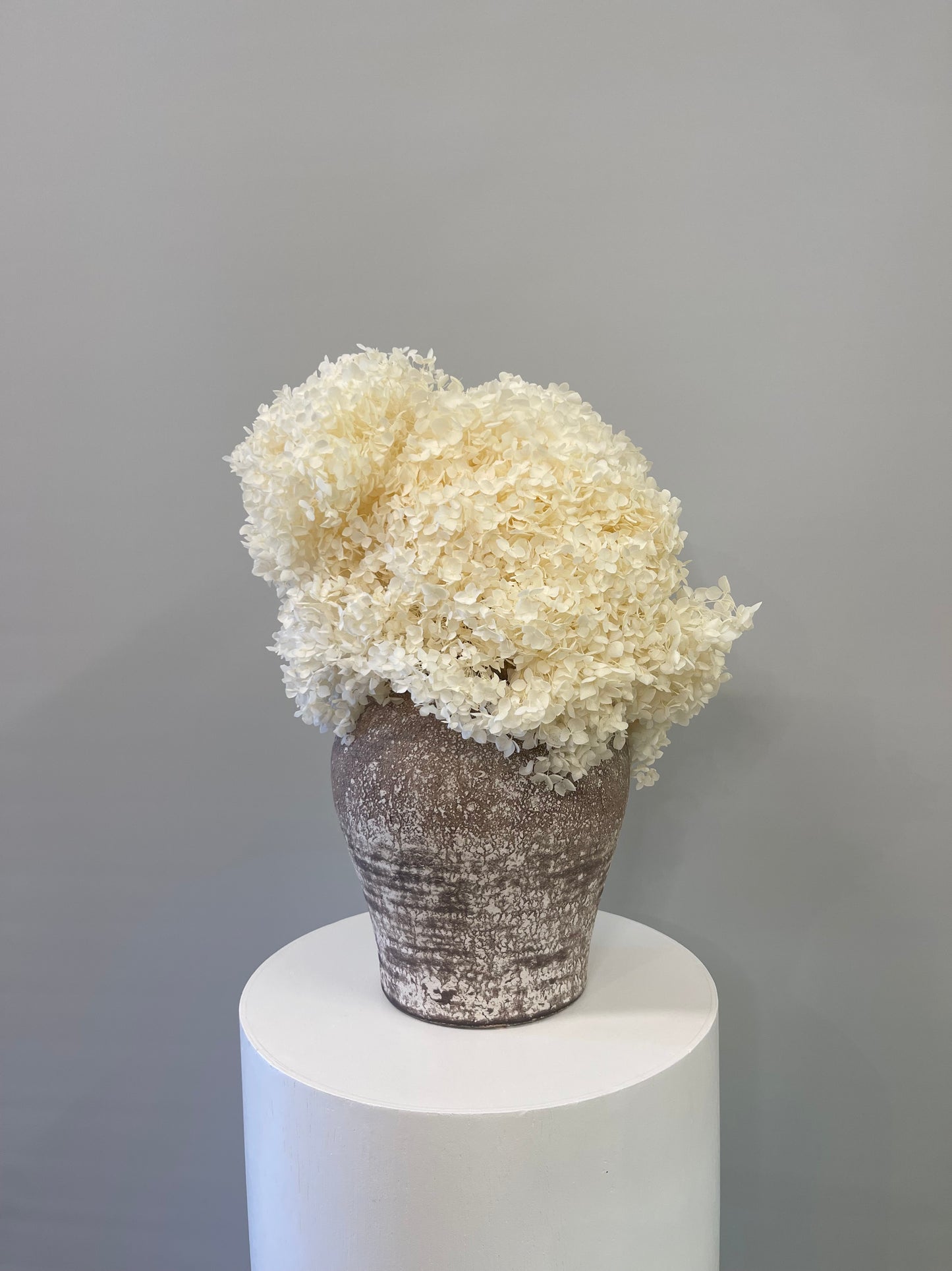 Elissa Dried Hydrangea Arrangement and ceramic vase
