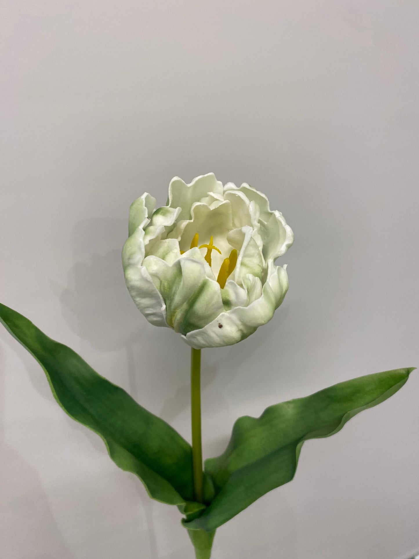 Real Touch White Open Tulip  Single Stem Artificial Faux Flowers LT