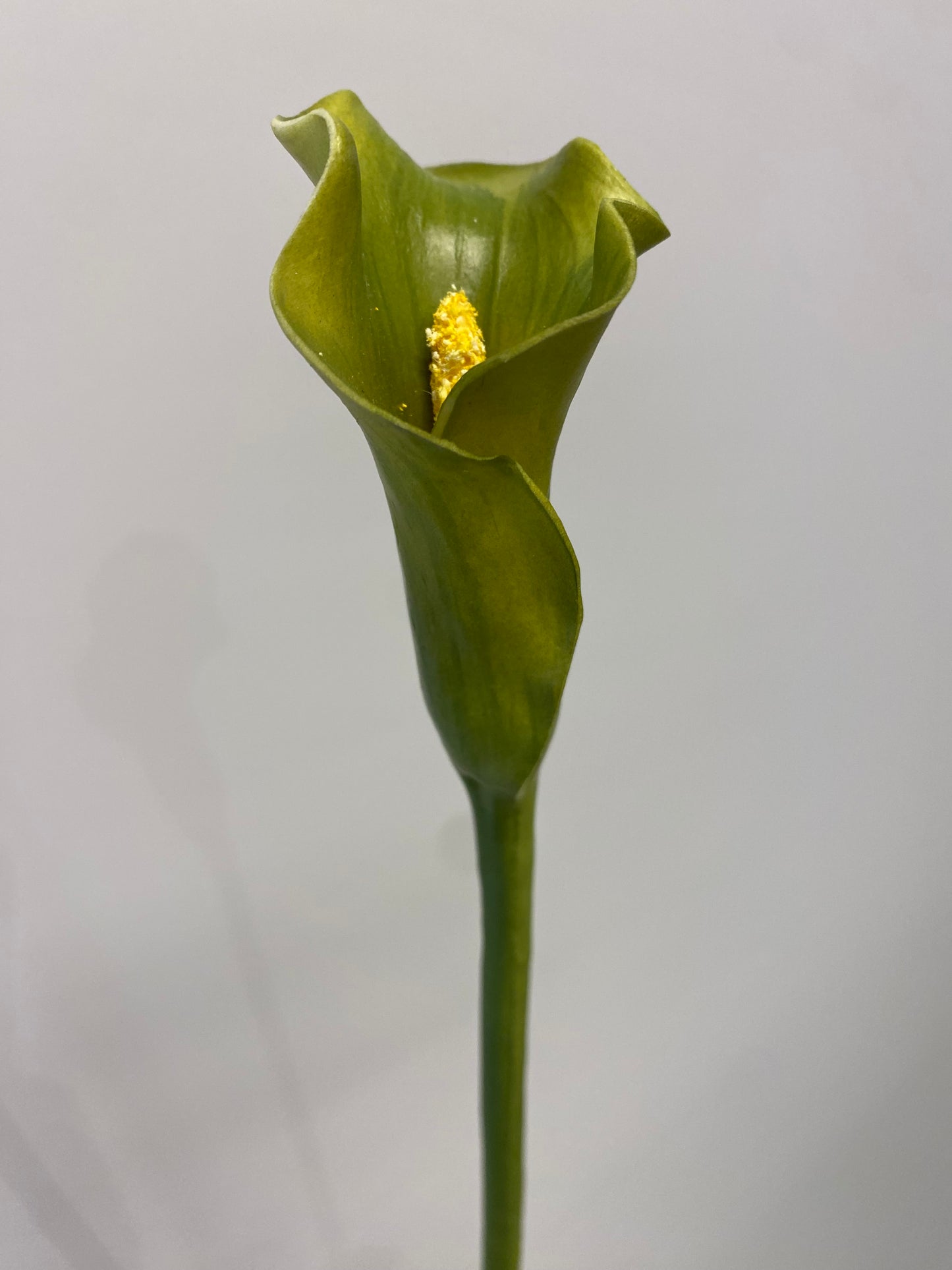 Real Touch Green Calla Lily Single Stem Artificial  Flowers