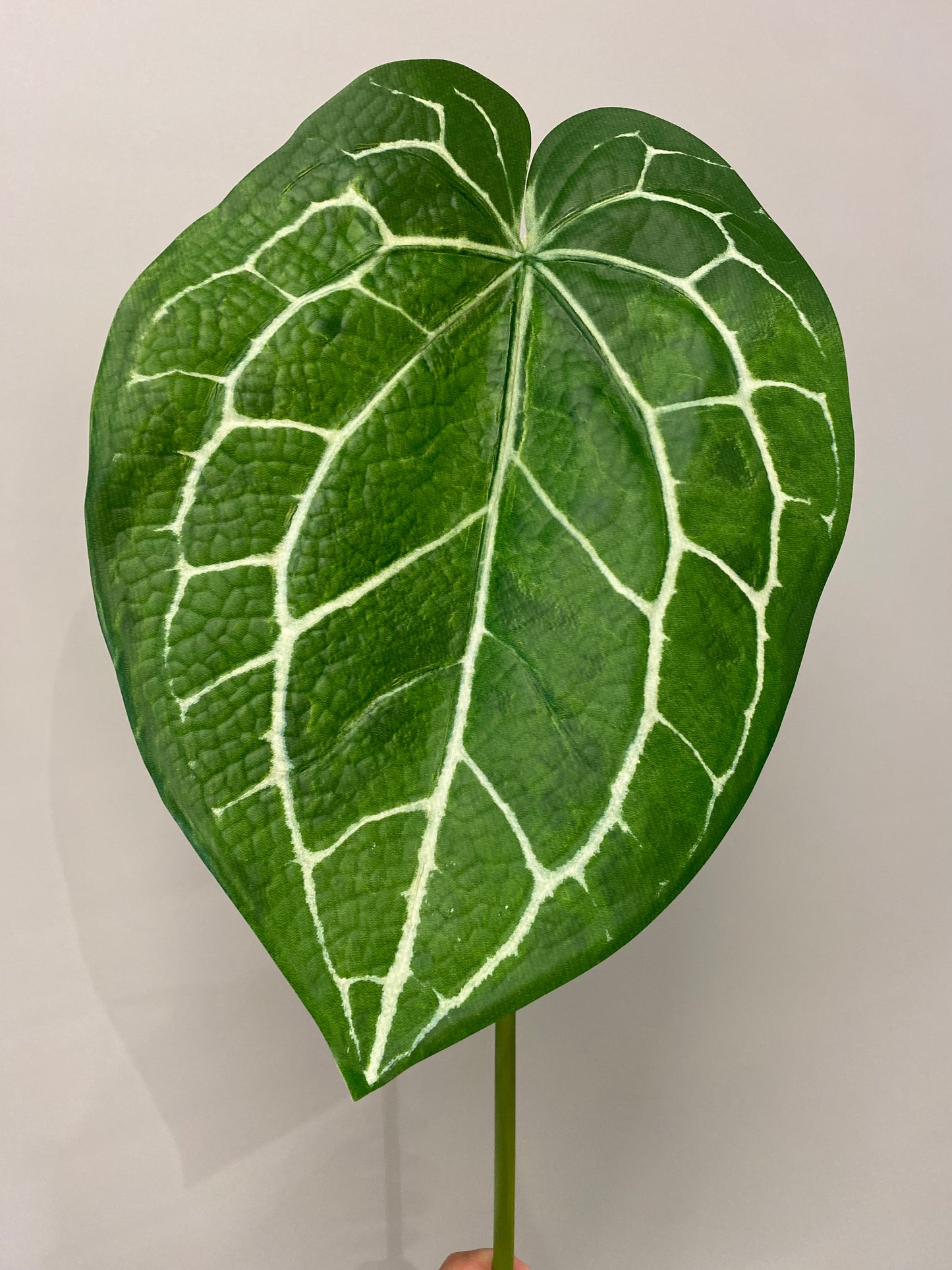 Anthurium Clarinerium extra large Green Leaf Single Stem Artificial Flowers