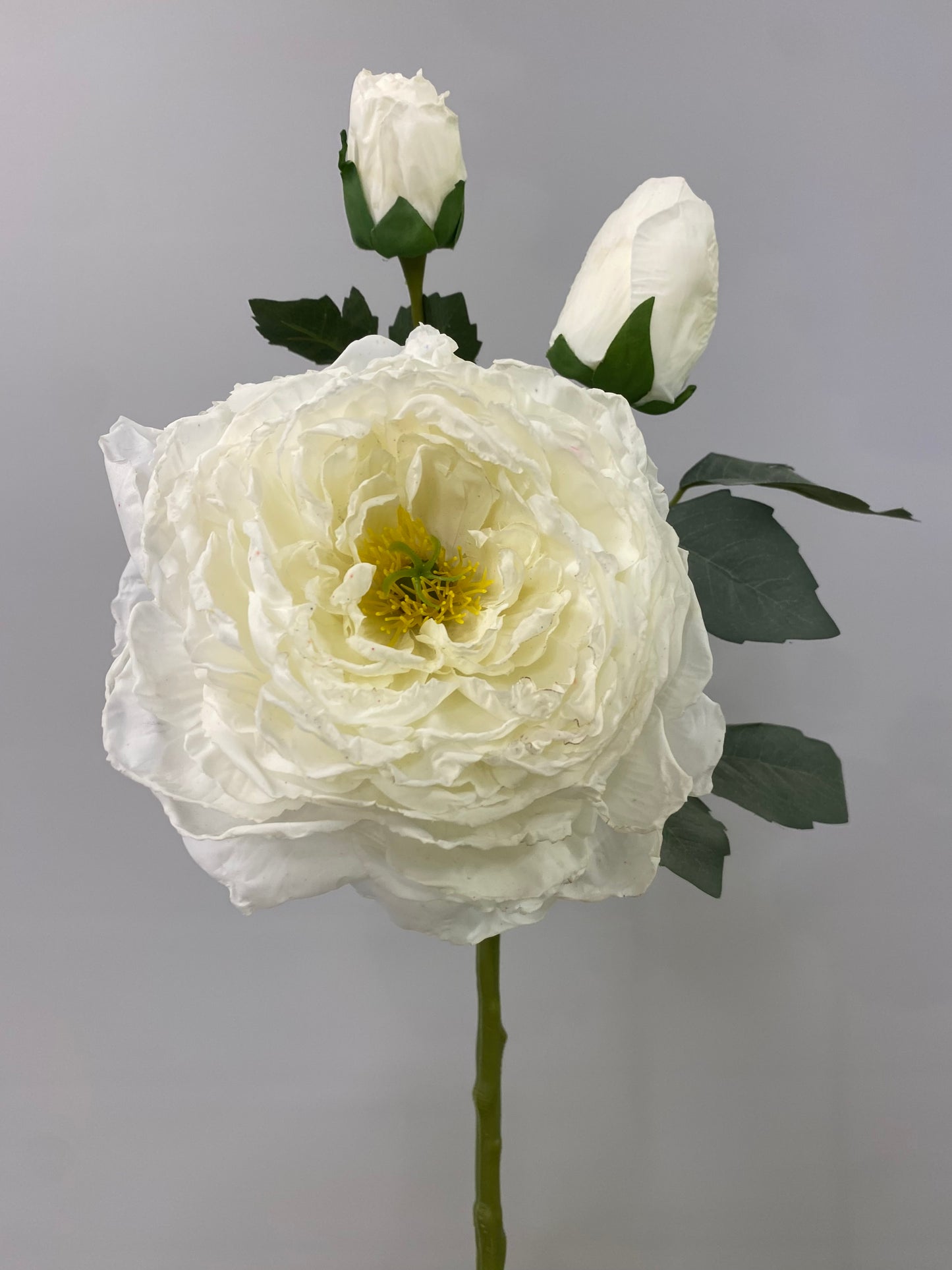 Cream Burnt Peony Single Stem Artificial Flowers Faux Flowers