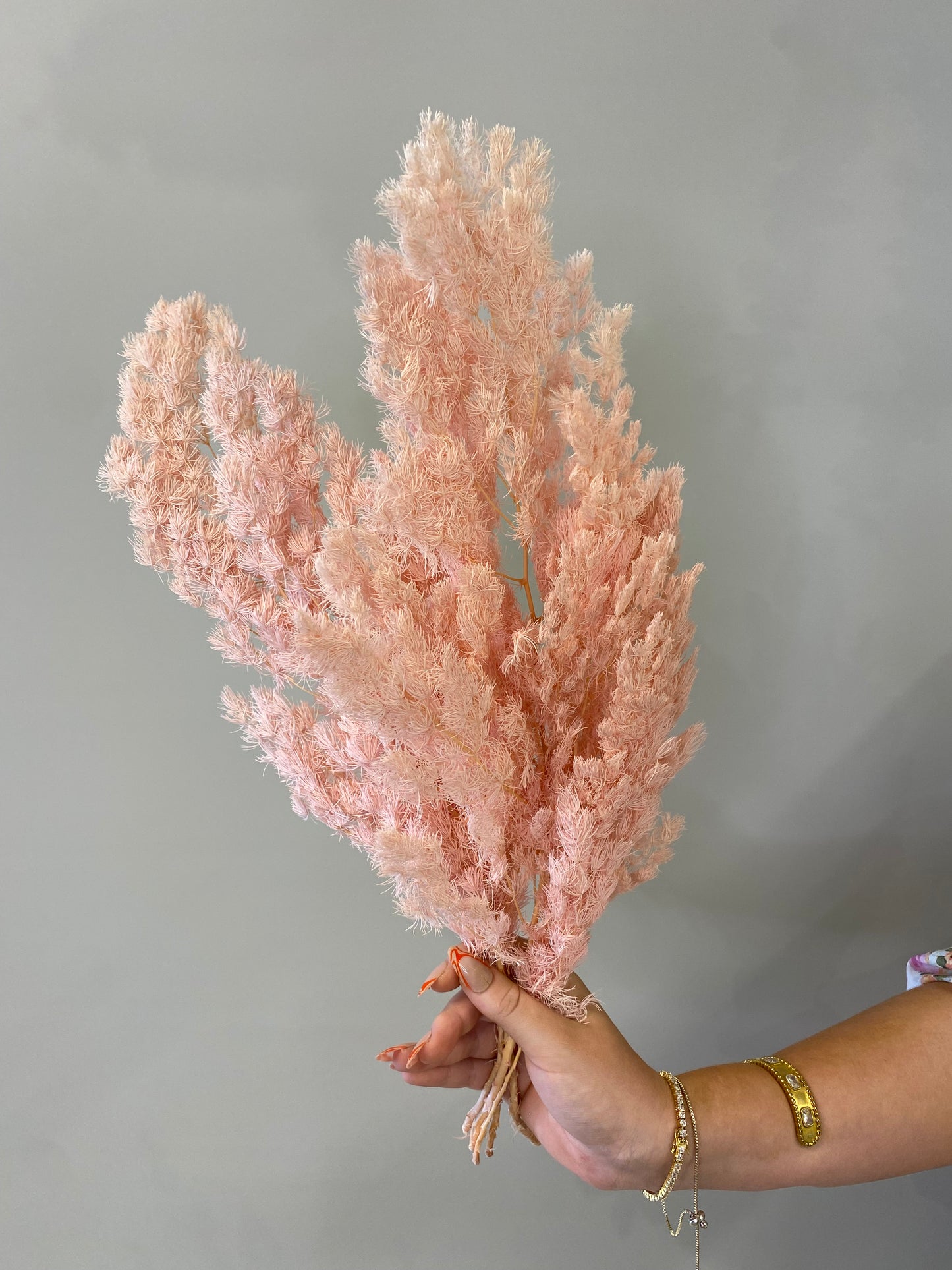 Ming Fern Light Pink Dried Flower