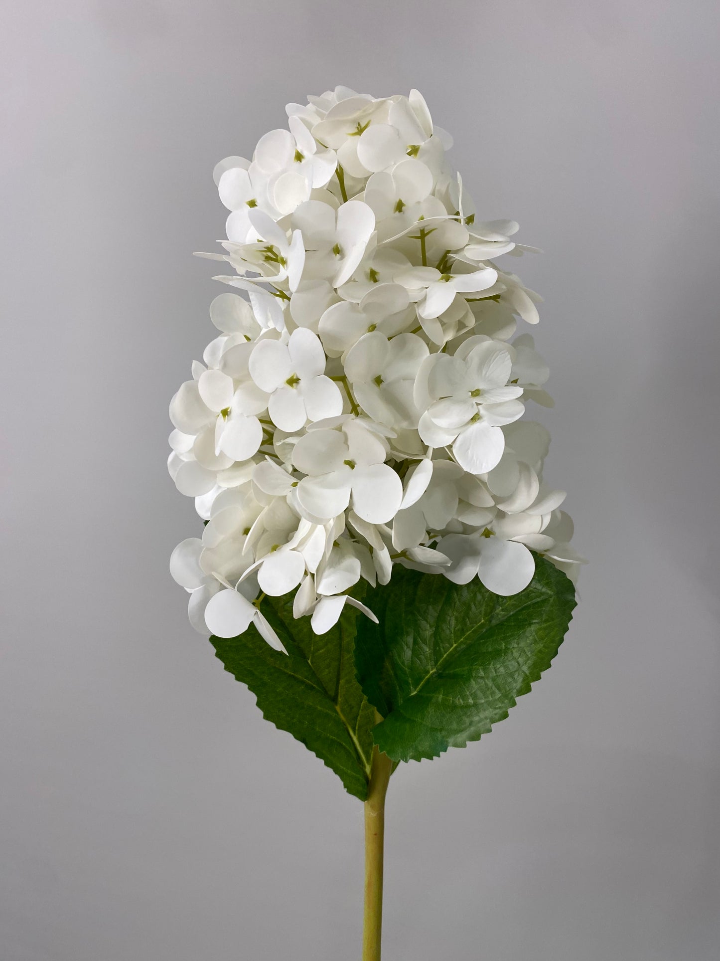 Hydrangea Paniculata Cone Real Touch White  Single Stem - Artificial Flowers