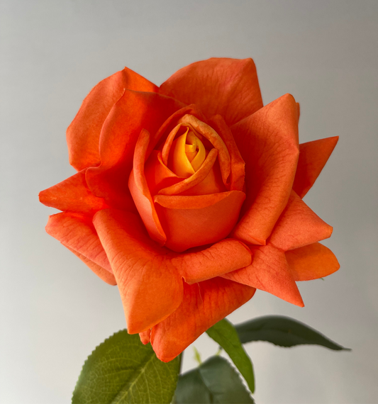 Real Touch Bright Orange Tiarna Rose Single Stem Artificial Flowers Faux Flowers