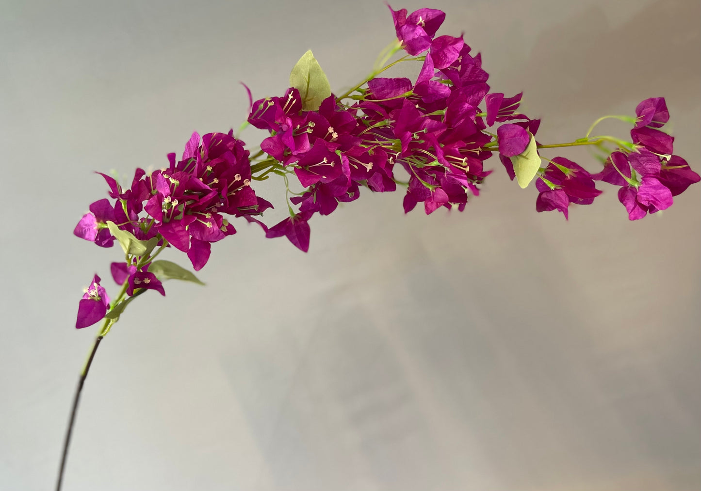 Silk Bougainvillea Single Stem Artificial Flowers Faux Flowers