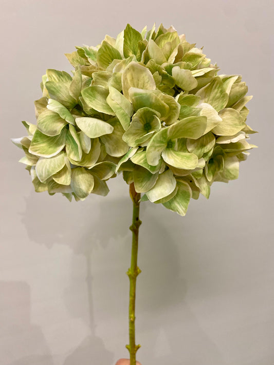 Green Hydrangea Single Stem Artificial Flower