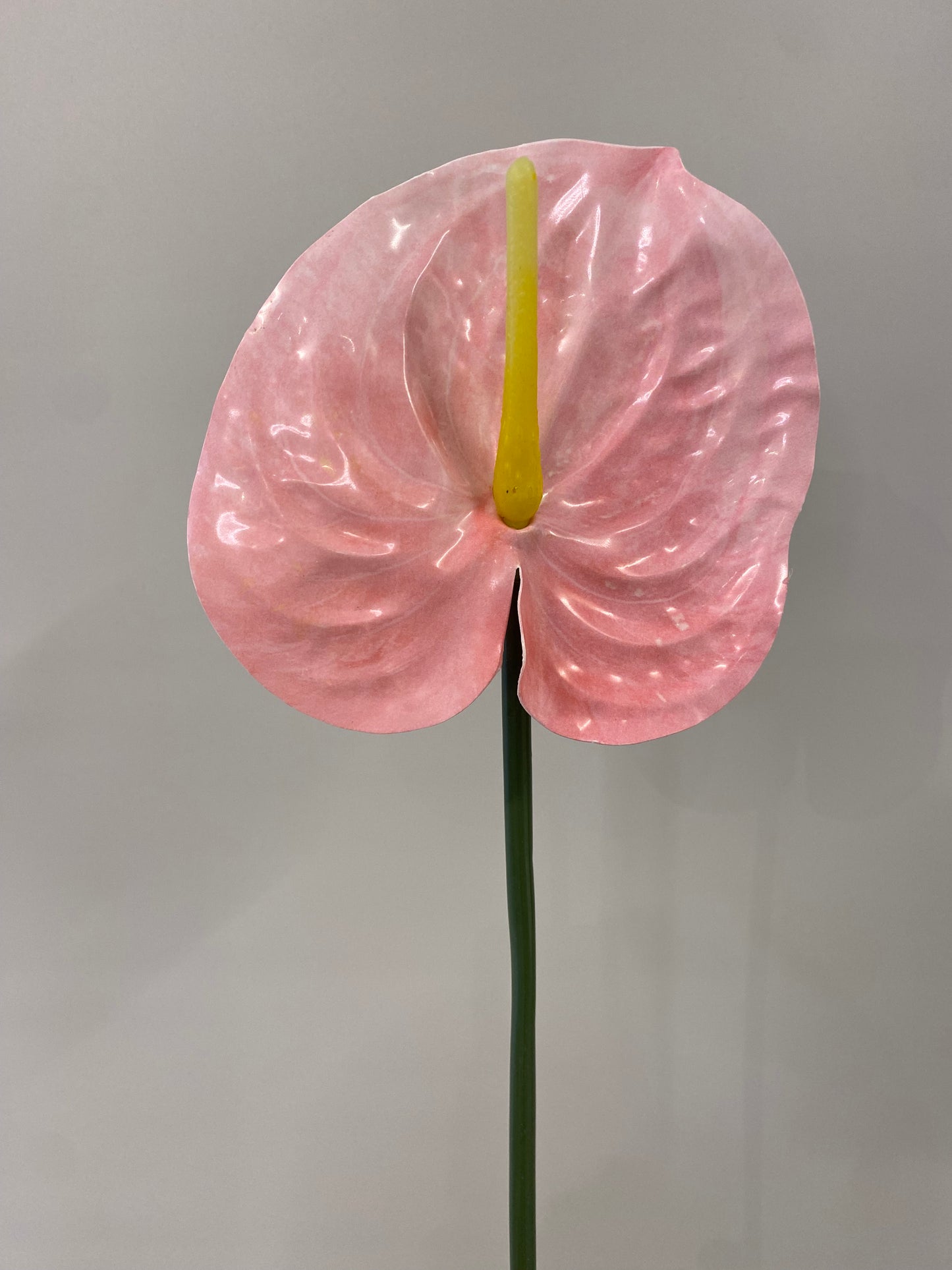 Blush Anthurium Single Stem Artificial Flowers Faux Flowers