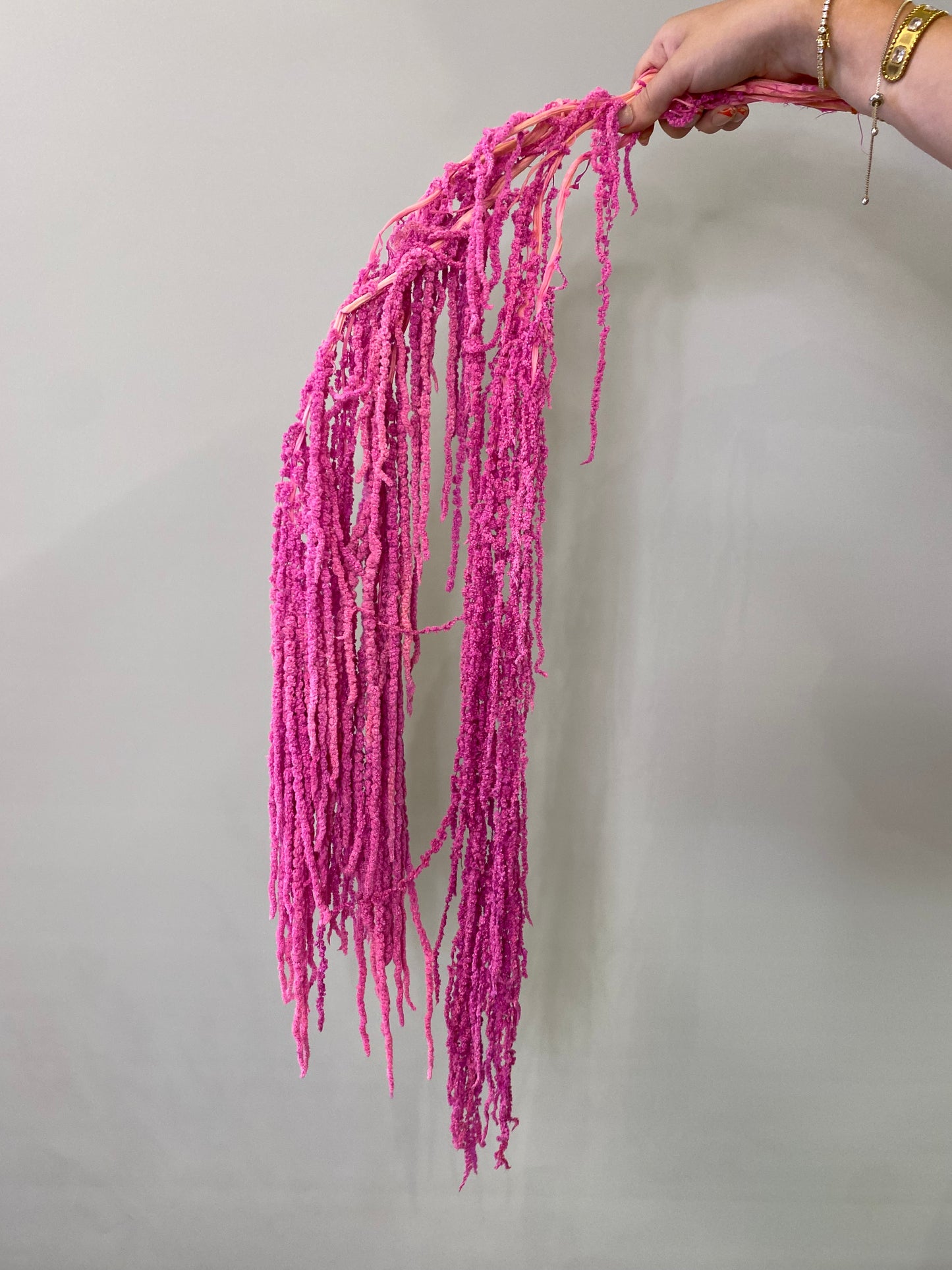 Amaranthus Dried Pink Preserved Flower