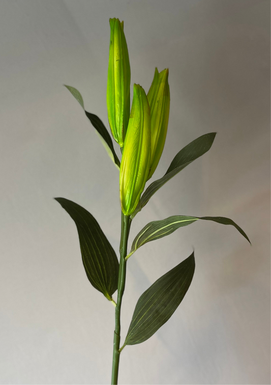 Green Casablanca Lily Buds Single Stem Artificial Flowers Faux Flowers