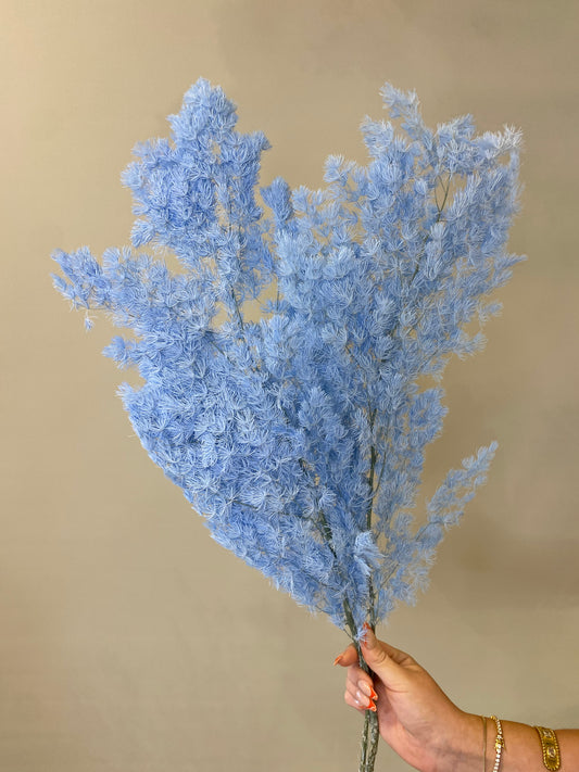 Ming Fern Light Blue Dried Flower