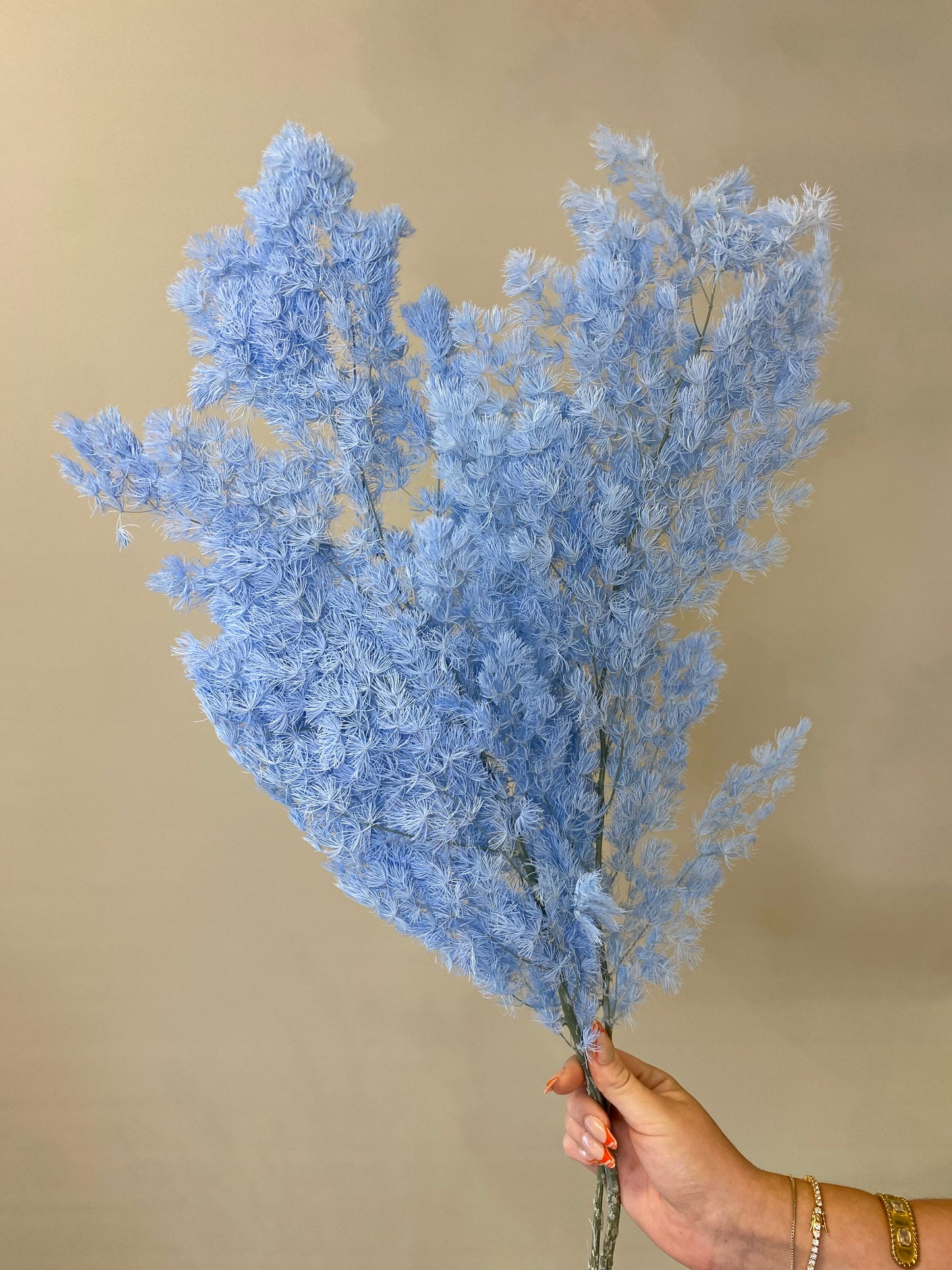 Ming Fern Light Blue Dried Flower