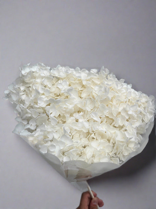 White Dried Hydrangea Single Stem