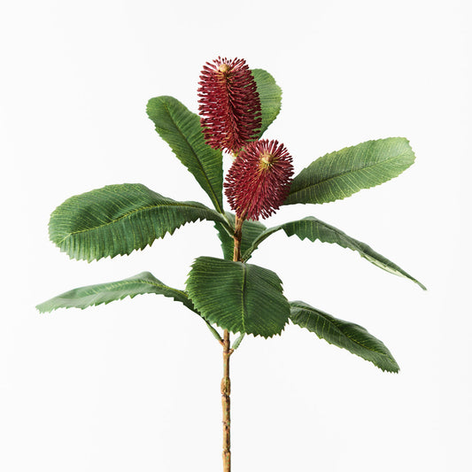 Real Touch Burgundy Red Banksia Robur Spray Native Single Stem