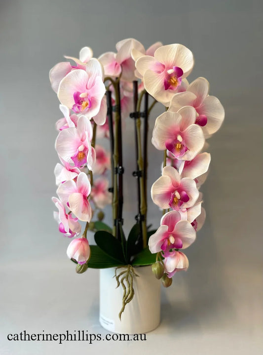 Hawaiian Orchid Arrangement